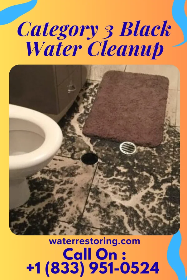 Category 3 Black Water Cleanup in Siena College, NY