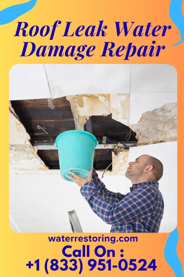 Roof Leak Water Damage Repair in Siena College, NY