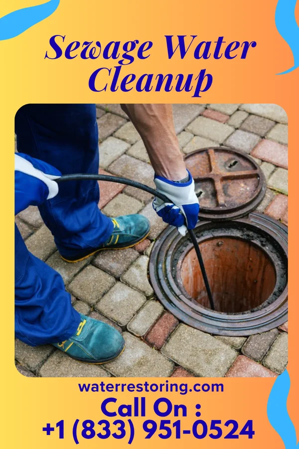 Sewage Water Cleanup in Siena College, NY